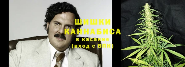 ГАЛЛЮЦИНОГЕННЫЕ ГРИБЫ Абаза