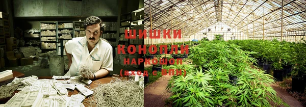 стафф Абинск