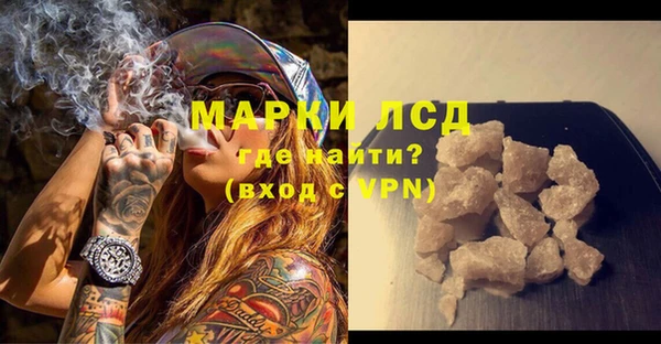 ГАЛЛЮЦИНОГЕННЫЕ ГРИБЫ Абаза