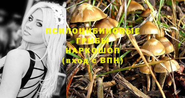 стафф Абинск