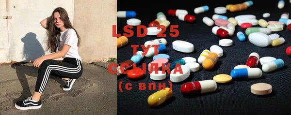 ГАЛЛЮЦИНОГЕННЫЕ ГРИБЫ Абаза
